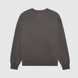 Poleron Lifestyle Wordmark Oversized Gris Fox