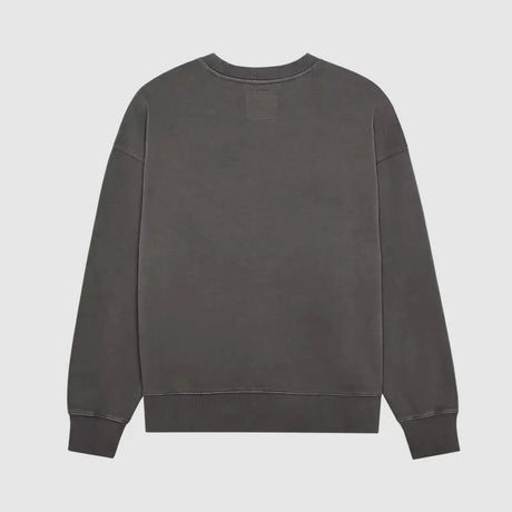 Poleron Lifestyle Wordmark Oversized Gris Fox