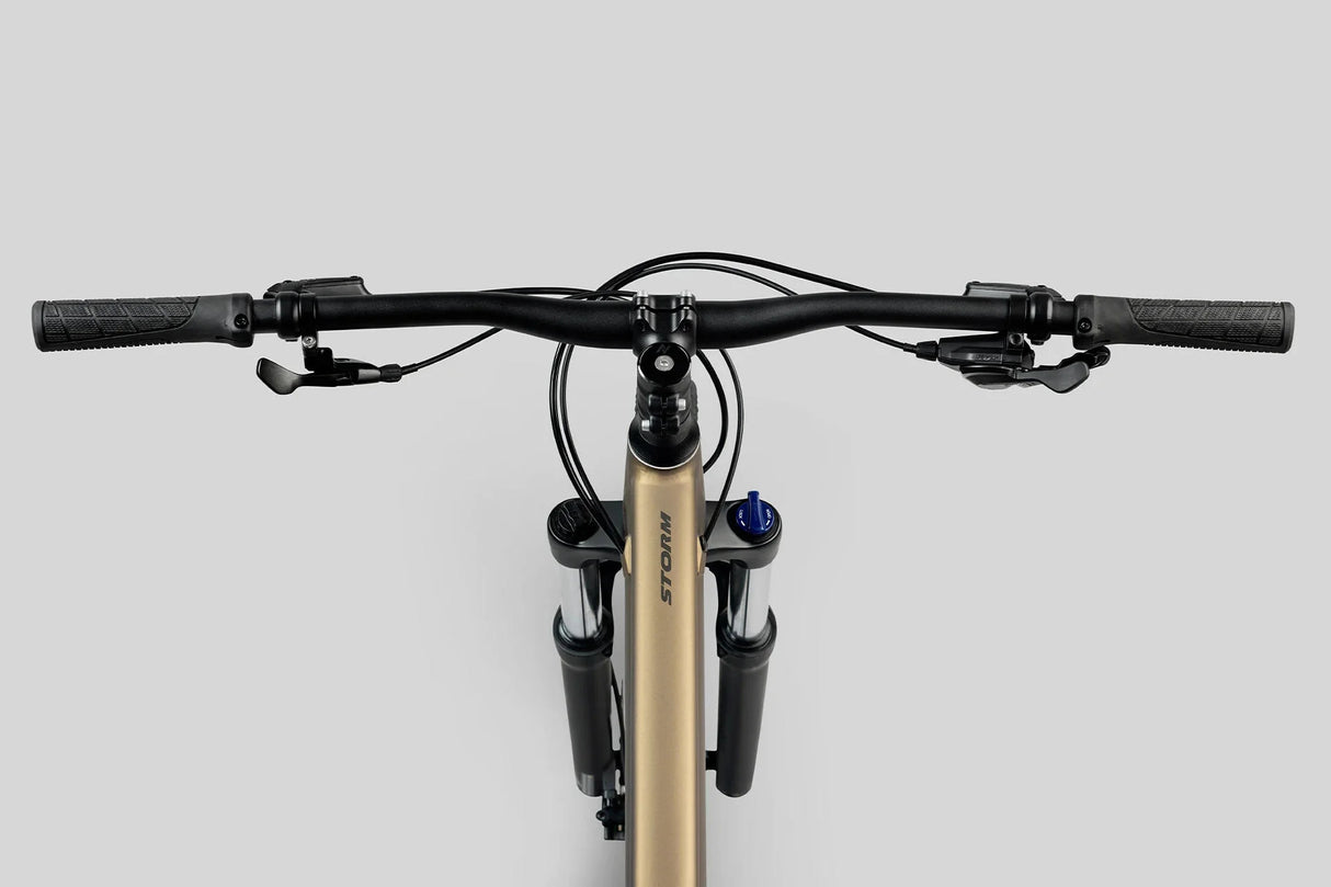 Bicicleta Storm 120 29" Cafe Norco